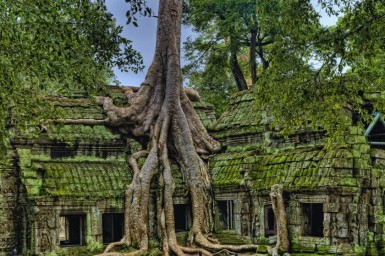 Vietnam and Cambodia Tour 15 Days: North to South Vietnam & Angkor Temples